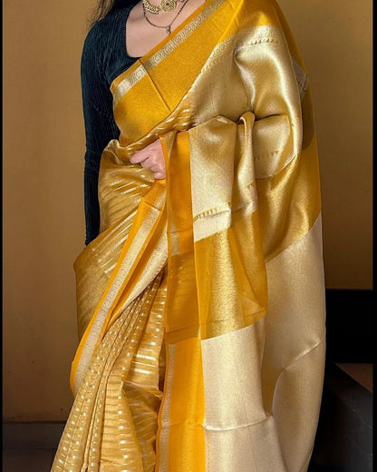 Party wear saree